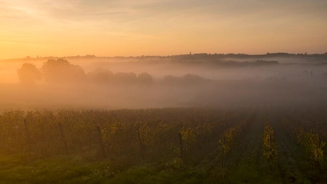 Timelapse Bordeaux Vineyard at sunrise in autumn, Entre deux mers, Langoiran, Gironde, France