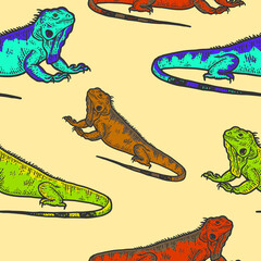 Iguana sketch seamless, drawing a big lizard. Apparel print design color