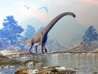 Giraffatitan dinosaur walking in a landscape by sunset - 3D render © Elenarts