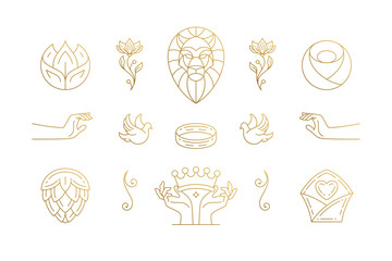 Vector line elegant decoration design elements set - lion head and gesture hands illustrations minimal linear style