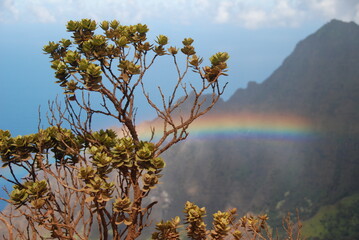 Obraz na płótnie Canvas Kalalau Lookout, Nā Pali Coast State Wilderness Park, Hawaii, USA, November 2012