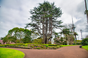 Albert Park and city buildings, Auckland, NZ