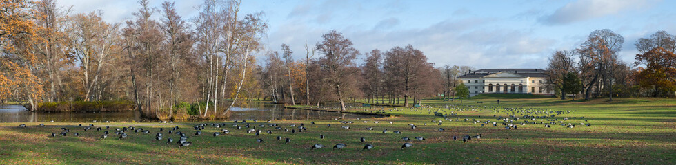 Color full autumn in a park on the Drottningholm island in Stockholm
