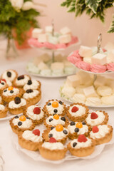 Sweet table pastries with berries plates with marshmallow and marshmallow for guests