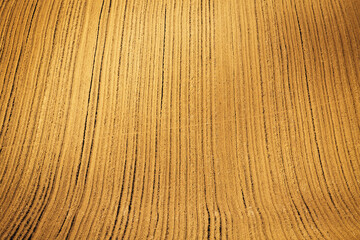 View of rural area with black ploughed field on the springtime.