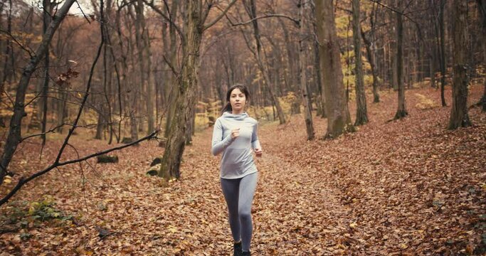 medium following 4k shot of young sporty female running in beautiful autumn forest. Exercising outdoors in cold weather
