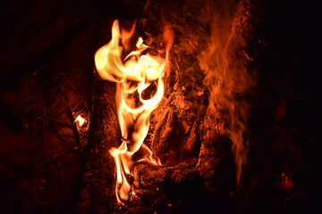 fire in the fireplace