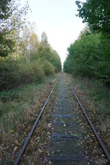Stare tory kolejowe kolejki wąskotorowej biegnące przez Puszczę białowieską