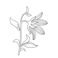 Art foliage natural leaves herbs in line style. Decoration element for design invitation, wedding cards, valentines day.