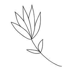 Floral Design Element