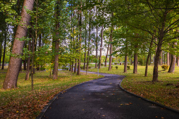a beautiful autumn landscape in the park on an October day