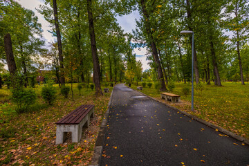 a beautiful autumn landscape in the park on an October day