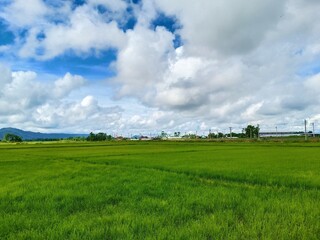 Dramatic blue sky with green fields in the countryside