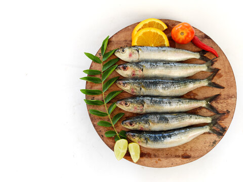 Close up view of Fresh Indian oil sardine on a wooden pad,Decorated with herbs and Vegetables.White Background.