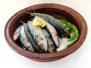 Close up view of Fresh Indian oil sardine on a Sand pot,Decorated with herbs.White Background.