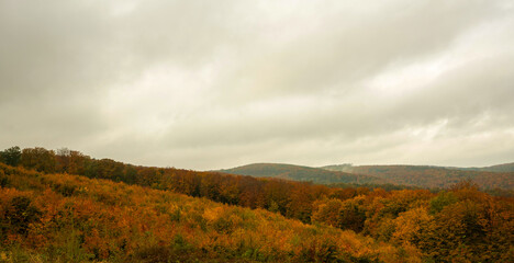 Herbst in Niederösterreich