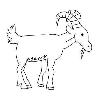 A goat with a beard depicted as a black outline on a white background
