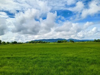 Dramatic blue sky with green fields in the countryside