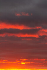 Wonderful November sunset with bright red-pink clouds on a dark gray-blue sky