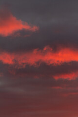 Wonderful November sunset with bright red-pink clouds on a dark gray-blue sky