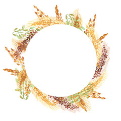 Watercolor hand painted nature grain field circle frame with golden rye ear, green and brown cereal branches wreath composition on the white background for invite and greeting card with space for text