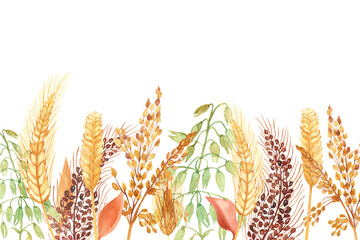 Watercolor hand painted nature grain field banner composition with golden rye ear, green and brown cereal ranches and orange leaves bouquet on the white background for invite and greeting card