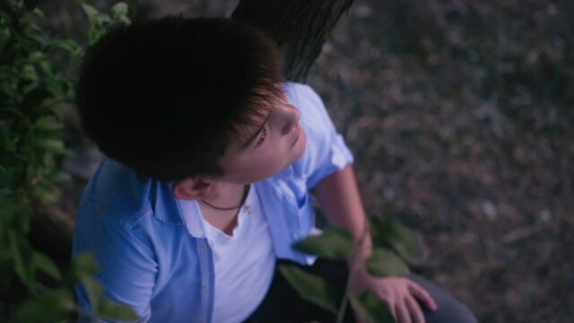 portrait of child sitting on tree and looking at sky and sunset while walking in open air on warm evening, lifestyle