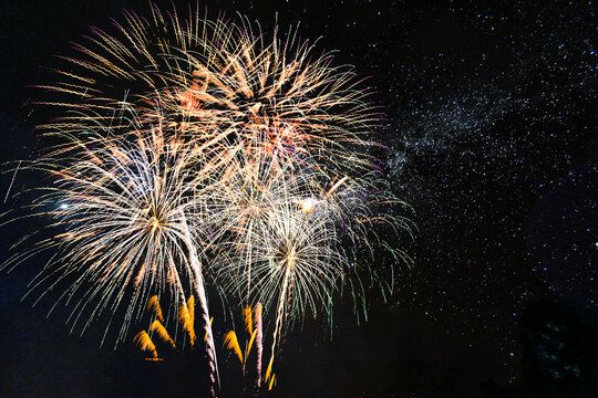 Colorful of fireworks display  on sky background, for New Year, party or any celebration event
