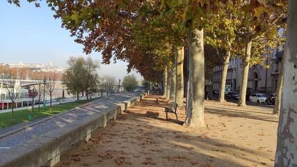 Shore of the rhone river in the autumn of Lyon, France