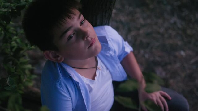 childhood memories, attractive boy sits on tree and dreamily looks up at sky and sunset, close-up