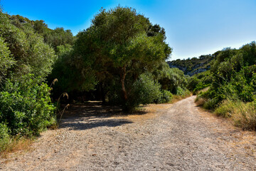 Fototapeta na wymiar Dirt road in Menorca island landscape
