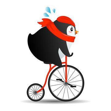 Cute cartoon Penguin on bike with a red scarf in flat style 