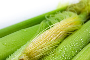 Baby corn husks, baby corn, white background