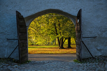 beautiful autumn park seen through open historic gate