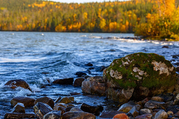 Fototapeta na wymiar Stones on Lake Imandra. Autumn landscape, Kola Peninsula, Russia.