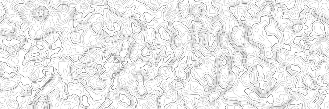 Seamless Vector Topographic Map Pattern. Contour topographic