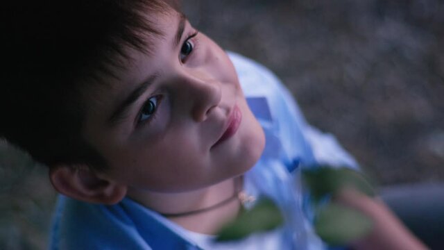 handsome male child sits in tree and looks up to sky and sunset in late evening while walking outdoors, dream and childhood concept