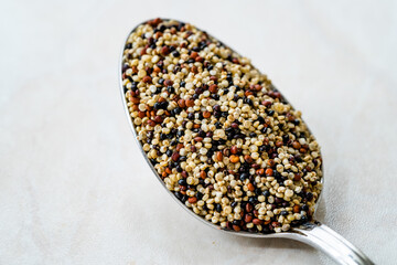 Fototapeta na wymiar Raw Mixed Tricolor / Three Color Quinoa in Spoon.