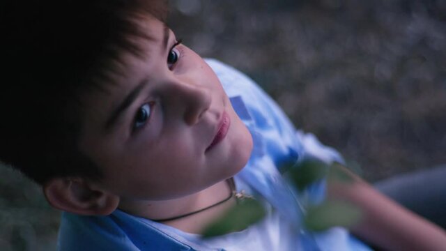 portrait of handsome boy sitting on tree and dreaming looking at sky and sunset in anticipation of first stars during an evening walk, happy childhood