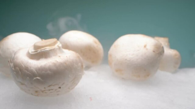 extreme close-up, detailed. champignon mushrooms on dry ice in thick white smoke. blue background