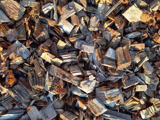 scobs, sawdust in the rays of the setting sun