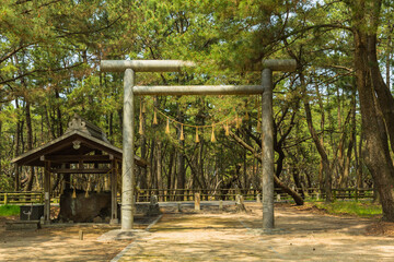 日本　佐賀県唐津市、日本三大松原の一つで特別名勝の虹の松原の鳥居