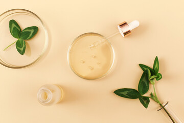 Laboratory glassware with serum and oil on beige background. Natural medicine, cosmetic research, bio science, organic skin care products. Flat lay, top view.