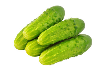 Green cucumber gherkin