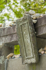 日本　佐賀県唐津市、唐津城内の鳥居