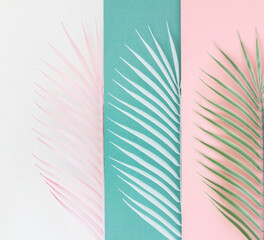 Palm leaves of various pastel colors. Minimalistic composition. Creative poster