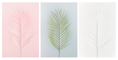 Palm leaves of various pastel colors. Minimalistic composition. Creative poster