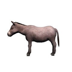 Farm animals - donkey - isolated on white background - 3D illustration