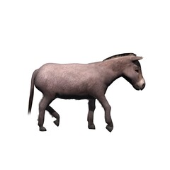 Obraz na płótnie Canvas Farm animals - donkey - isolated on white background - 3D illustration