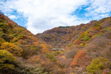 めがね橋（碓氷峠第三橋梁）